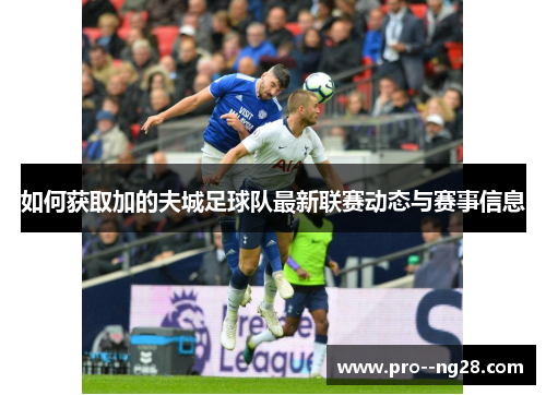 如何获取加的夫城足球队最新联赛动态与赛事信息