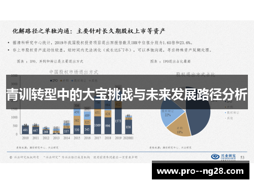 青训转型中的大宝挑战与未来发展路径分析