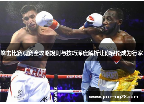 拳击比赛观赛全攻略规则与技巧深度解析让你轻松成为行家