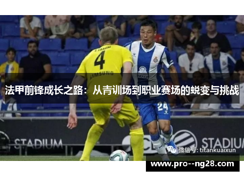 法甲前锋成长之路：从青训场到职业赛场的蜕变与挑战