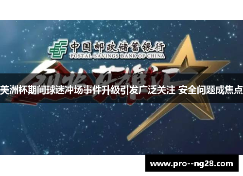 美洲杯期间球迷冲场事件升级引发广泛关注 安全问题成焦点